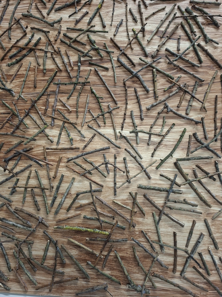Spuren im Wald