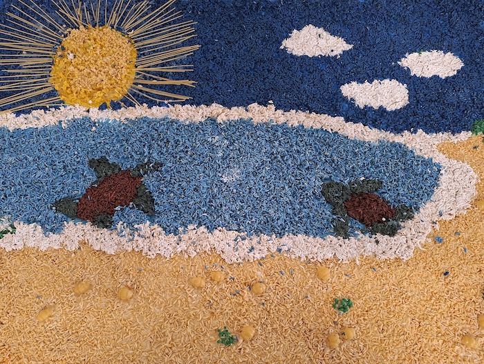 Schildkröten am Strand
