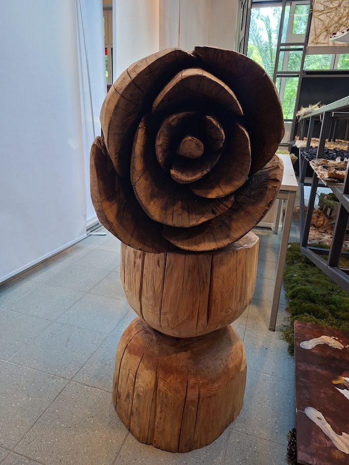 Rose des Miteinanders